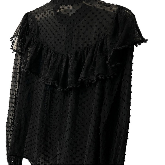 LoveShackFancy Erica SWISS DOT HIGH NECK LACE BLOUSE Ruffled Button Front Sheer - Picture 12 of 16